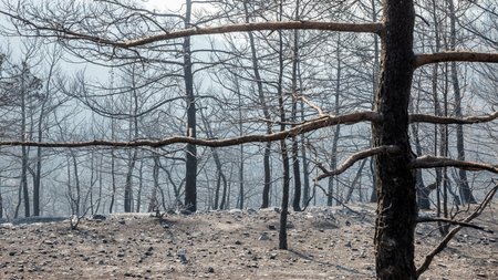 DOC.20250724.8797065.kamenigilemesos2