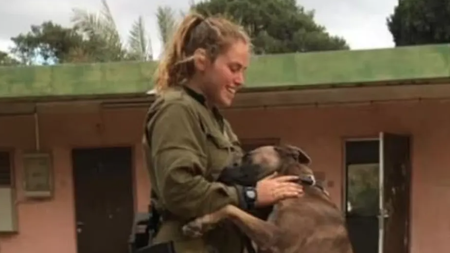 Στιγμιότυπο 2023-10-11, 8.39.28 πμ