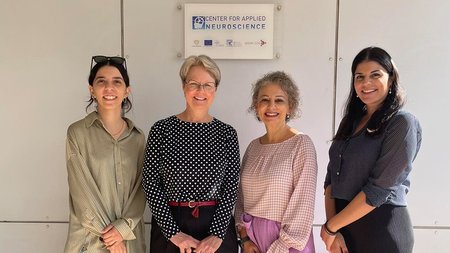 Cyprus_Seeds_CAT_BRAIN