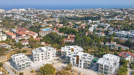 cats_QmjMVXq.width-750