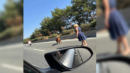 448552332_485507740520024_8144937607698897354_n