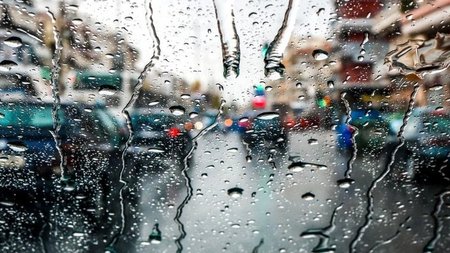 cats_L7znI54.width-750