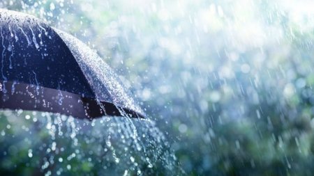 7f65ccb5-60cb-43cd-b6fe-f63bb61609cc_3ae3673d-481e-4bb0-bc69-629fb3783528_kitri