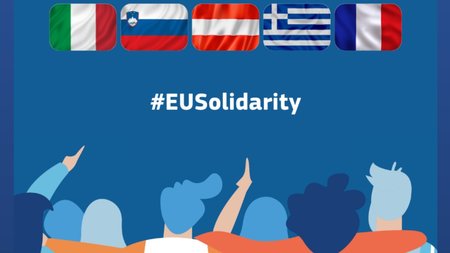 MixCollage-28-Aug-2024-09-05-AM-5632