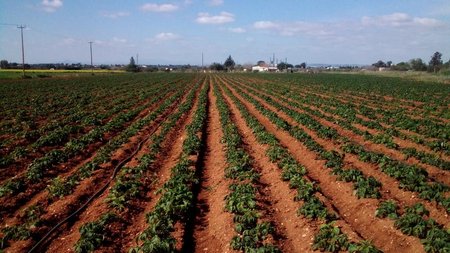 151785033_1158545481282664_5107920283269206569_n