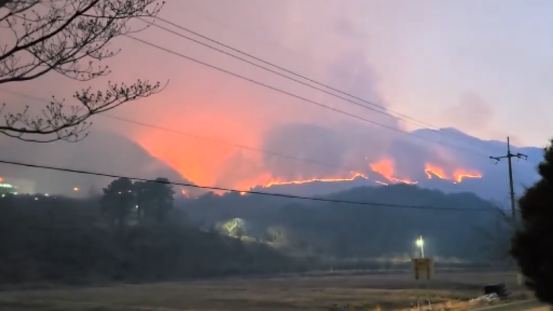 fire_korea