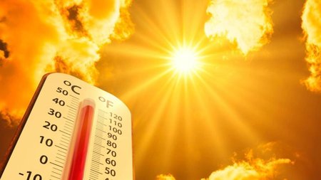 untitled_design_-_2024-06-04t092633.215