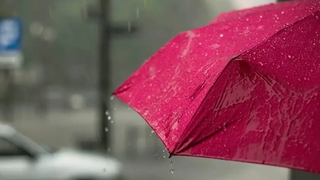 49b626d4415c63dd22aaf8e5b5b90949_XL