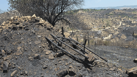 DOC.20240613.6823830.kamenigi