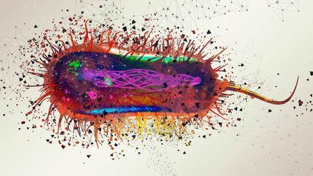 5db29573210000602b34b008