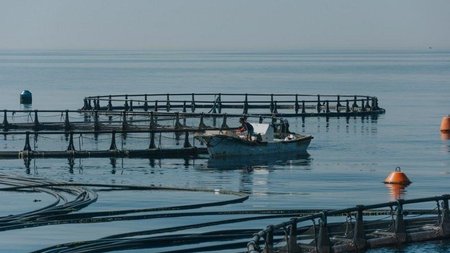 kimagro-9.3b5d03745e9fadb4f7f58547e82a33e3