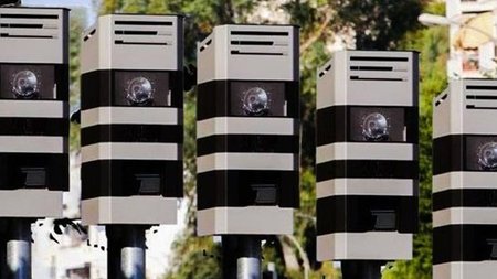 cats_pz1m9Of.width-750