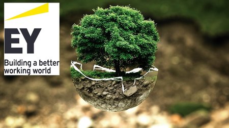 EY_environment
