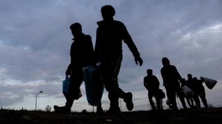 METANASTES_MFumU29.original