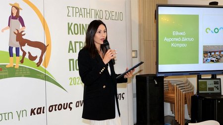 panayiotoumariakap.width-750