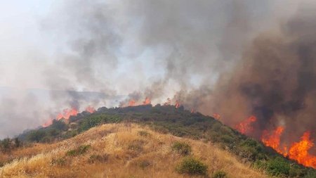 b_b_b_lemesos_pirkagia