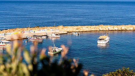 ΠΡΟΩΘΗΣΗ ΠΑΦΟΥ