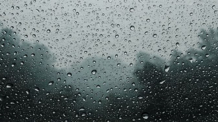 d4257cd1-06f0-4666-adc6-8100a954af2e.jpg