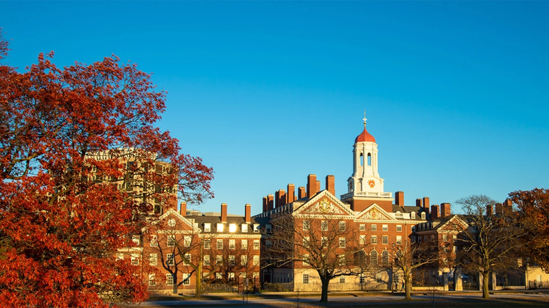 harvard-university