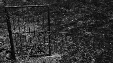 522935964_1502326247792189_8483815546801652851_n