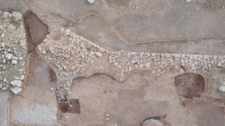 d4529dc59c9cfbdd8aa1e51313418748