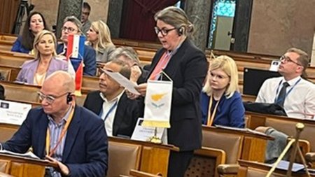 04102024_VouliErotokritou_Modex