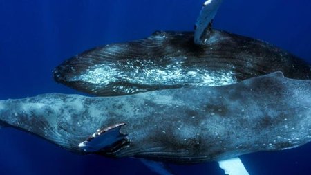 875_92d8bf00-a2af-4f9e-889b-83d75ccd214f