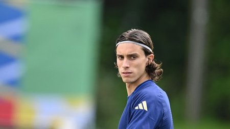 cats_KU7OJRp.width-750