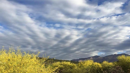 8a67f064-347a-44fb-80b0-6cf8207b5218.jpg