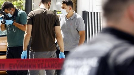 cats_ss0sS1l.width-750