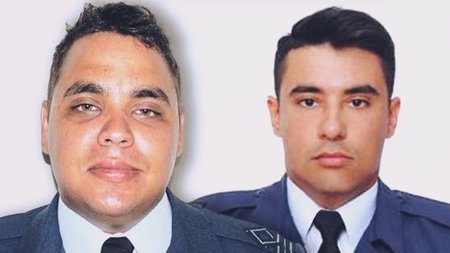 cats_HYhRYl6.width-750