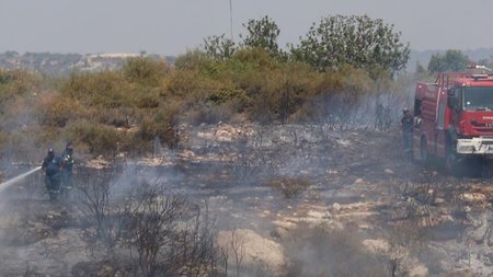 DOC.20250724.8797619.fotialemesos5 (Copy)