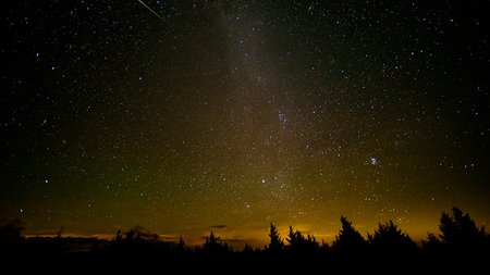 Perseids