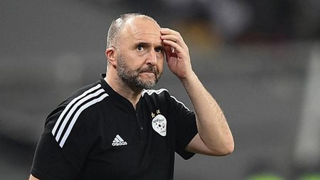 belmadi_015035