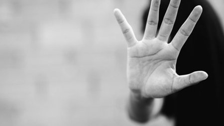 cats_nAEk0MN.width-750