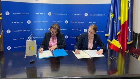 MixCollage-23-Oct-2024-02-52-PM-7011