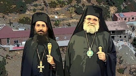 cats_wz9NM8u.width-750