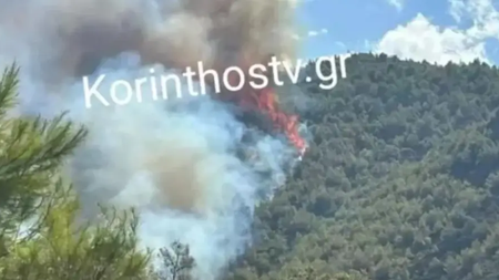 c51d8d54-8565-4f70-b563-8c3f6d4ba250