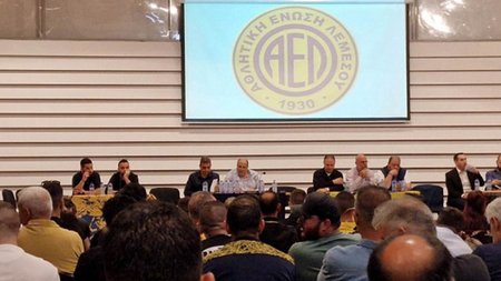 9c9478a8-510f-4b01-99d5-1e324f66f0b2_ael_syneleysi