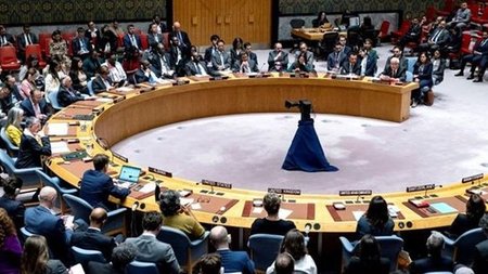 cats_lR4sQzO.width-750