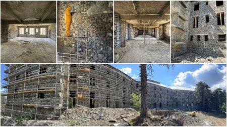 Collage Maker-12-Oct-2023-10-40-AM-268