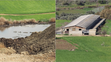 b54f5b6c-f127-4f37-8ee8-69306677754c.jpg