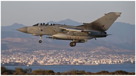 Collage Maker-25-May-2023-08-06-AM-5903