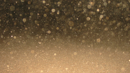 bef17f51-2edd-43d8-a55b-4e9bafbe4586.jpg