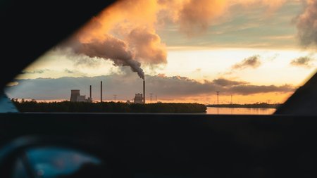 tim-van-der-kuip-Jzf9CFDbg5E-unsplash