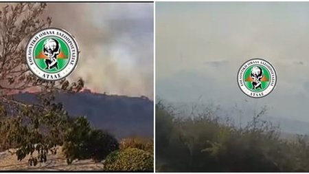 page_gGXmDbk.width-750