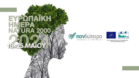 441505502_1158832045149251_7846247578703896736_n