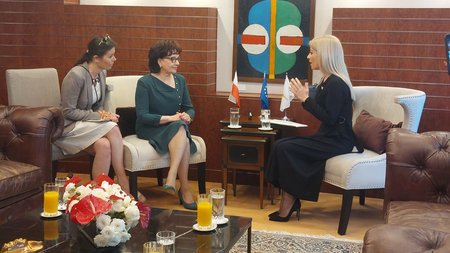 DOC.20230517.4976462.proedros-voulis-polonia