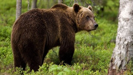 502933067_9934350456640514_2341895391143291336_n-1200x800