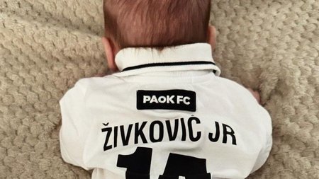 zivkovic
